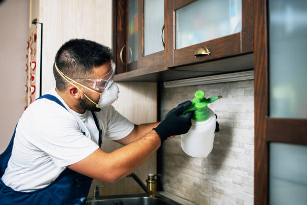 Pest Prevention Services in Baden, MD