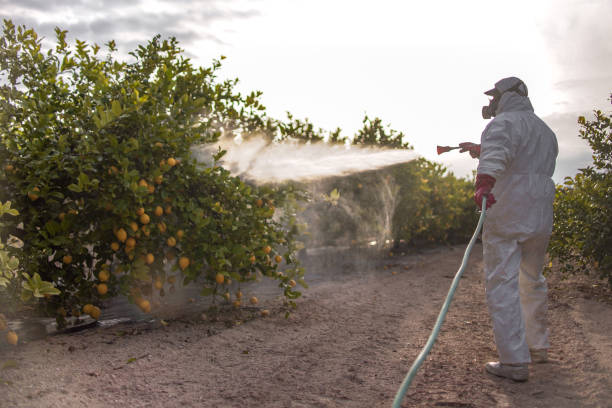 Best Residential Pest Control  in Baden, MD