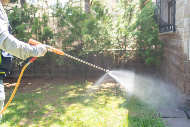 Best Insect Control  in Baden, MD