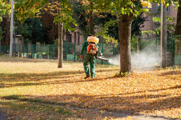 Best Flea Control Services  in Baden, MD