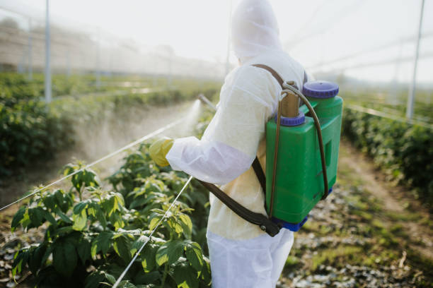 Best Ant Control Services  in Baden, MD
